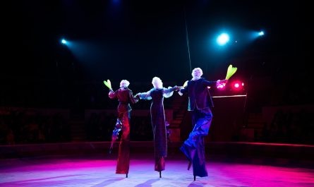 Clown ou magicien : Quel artiste pour la fête d&rsquo;un enfant ?